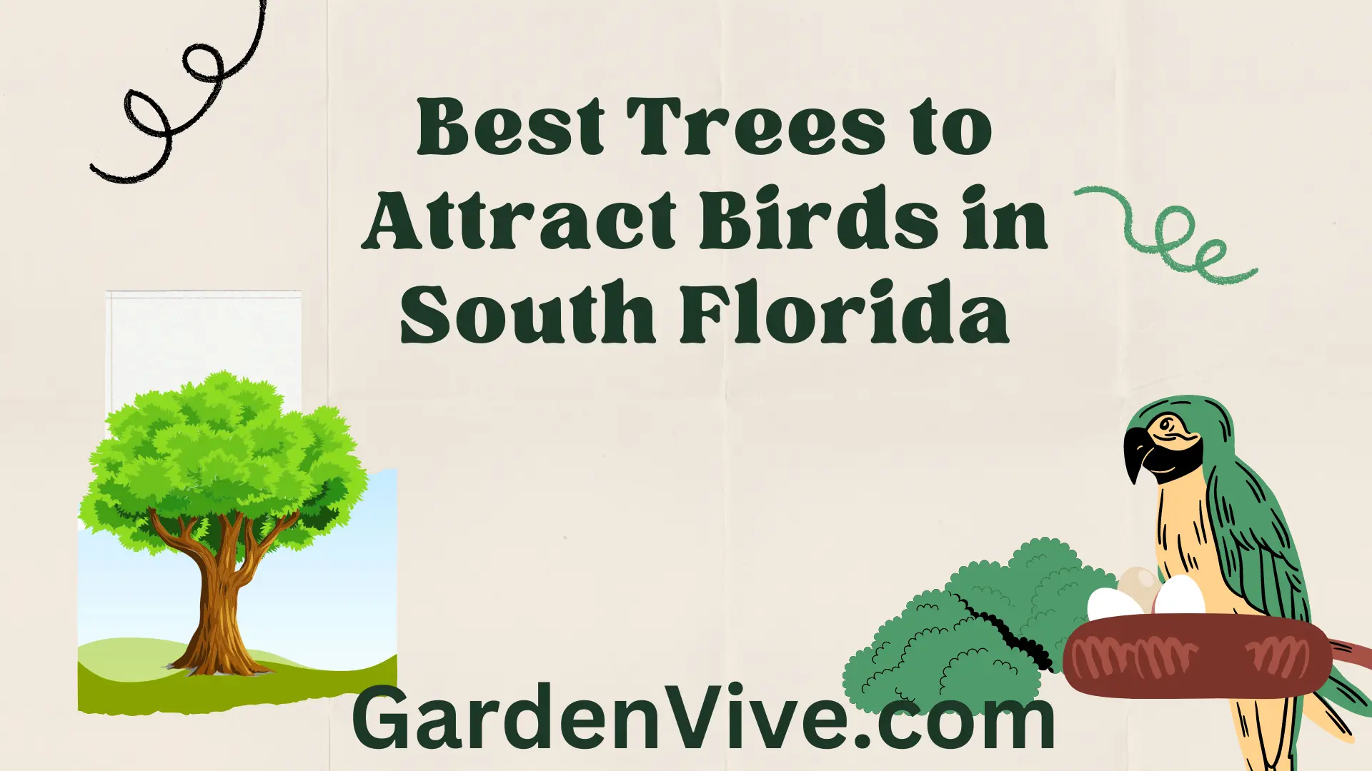 Best trees to attract birds in South Florida