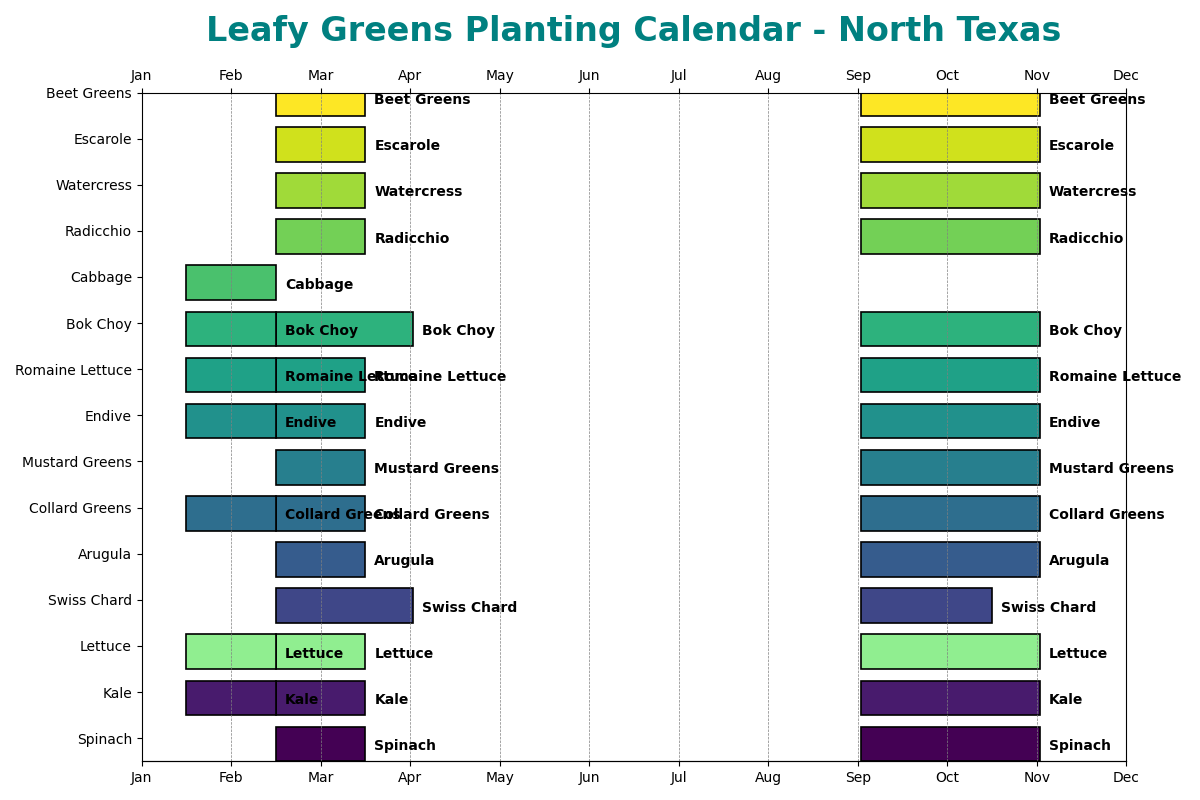 Leafy Greens Planting Calendar for North Texas