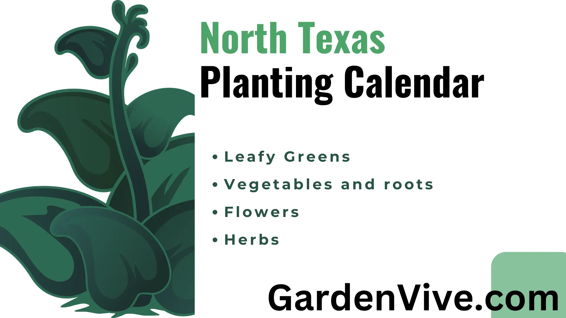 North Texas Planting Calendar