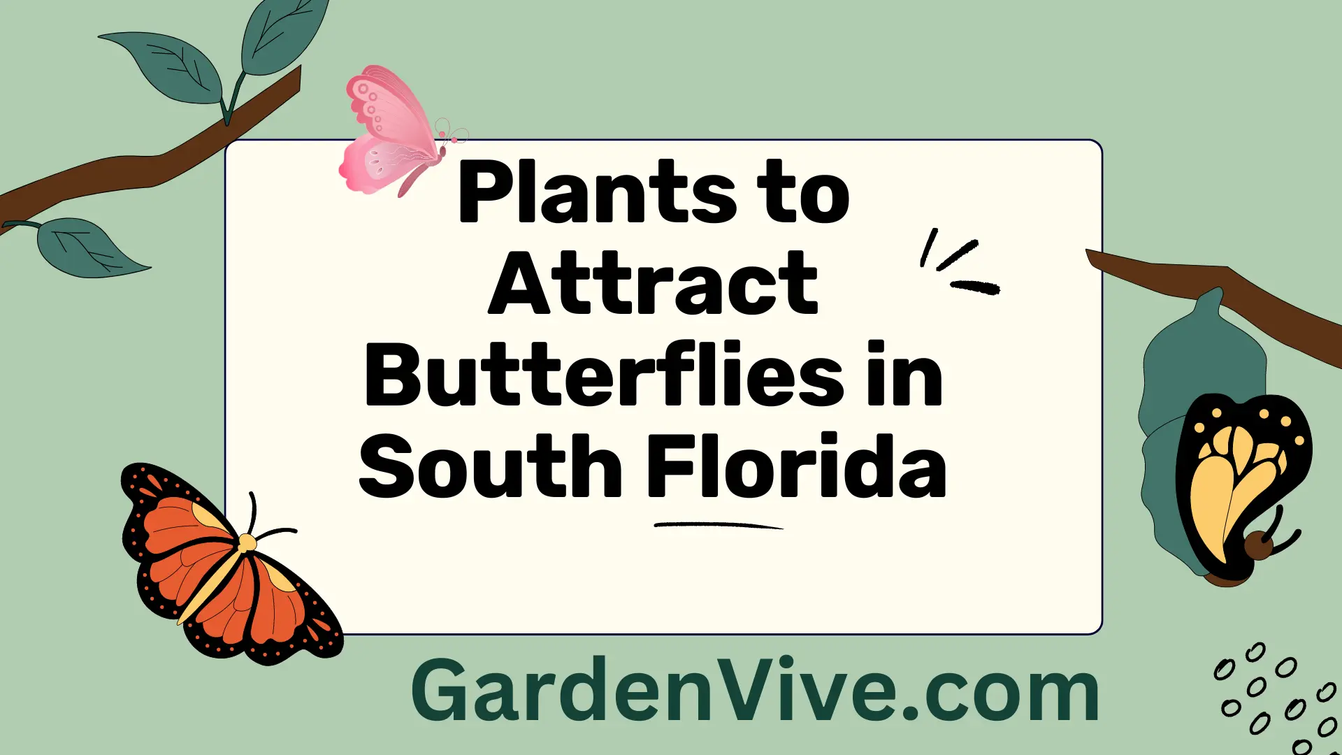 Plants to attract butterflies in South Florida