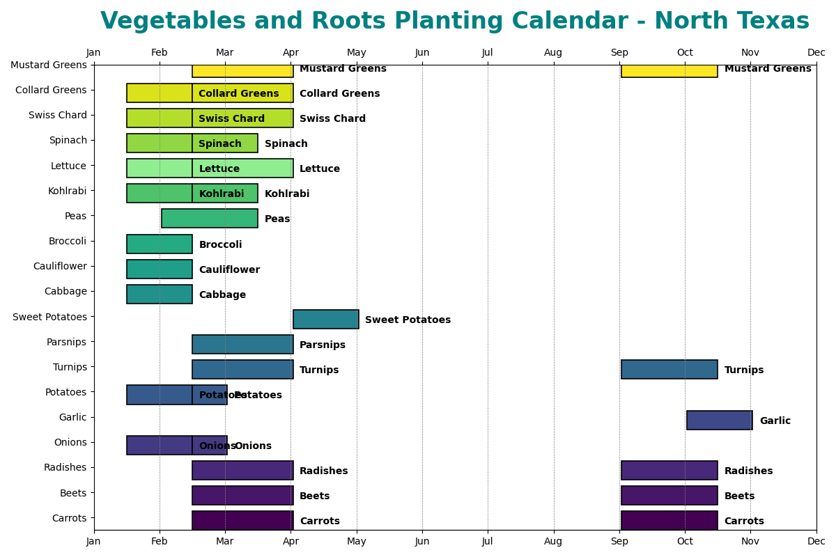 Vegetables & Roots Planting Calendar for North Texas