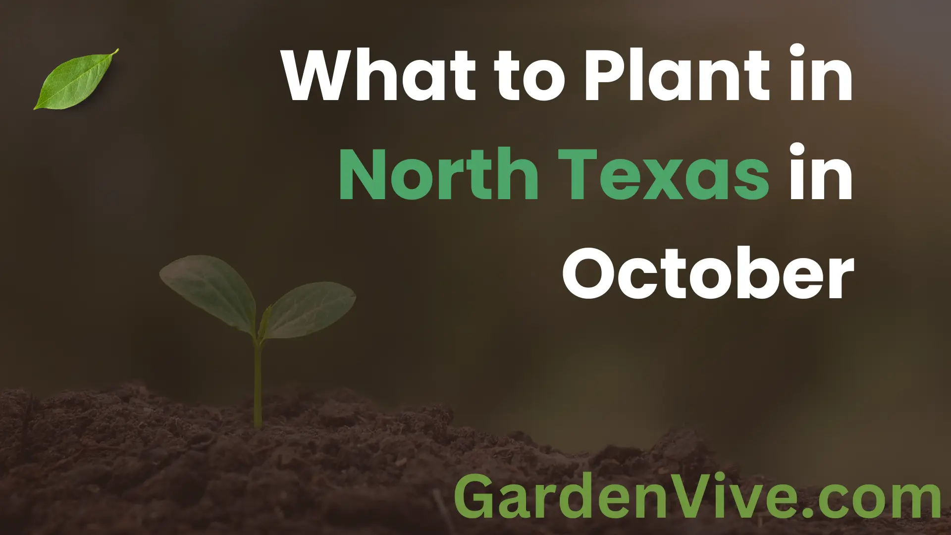 What to Plant in October in North Texas - Fall Gardening