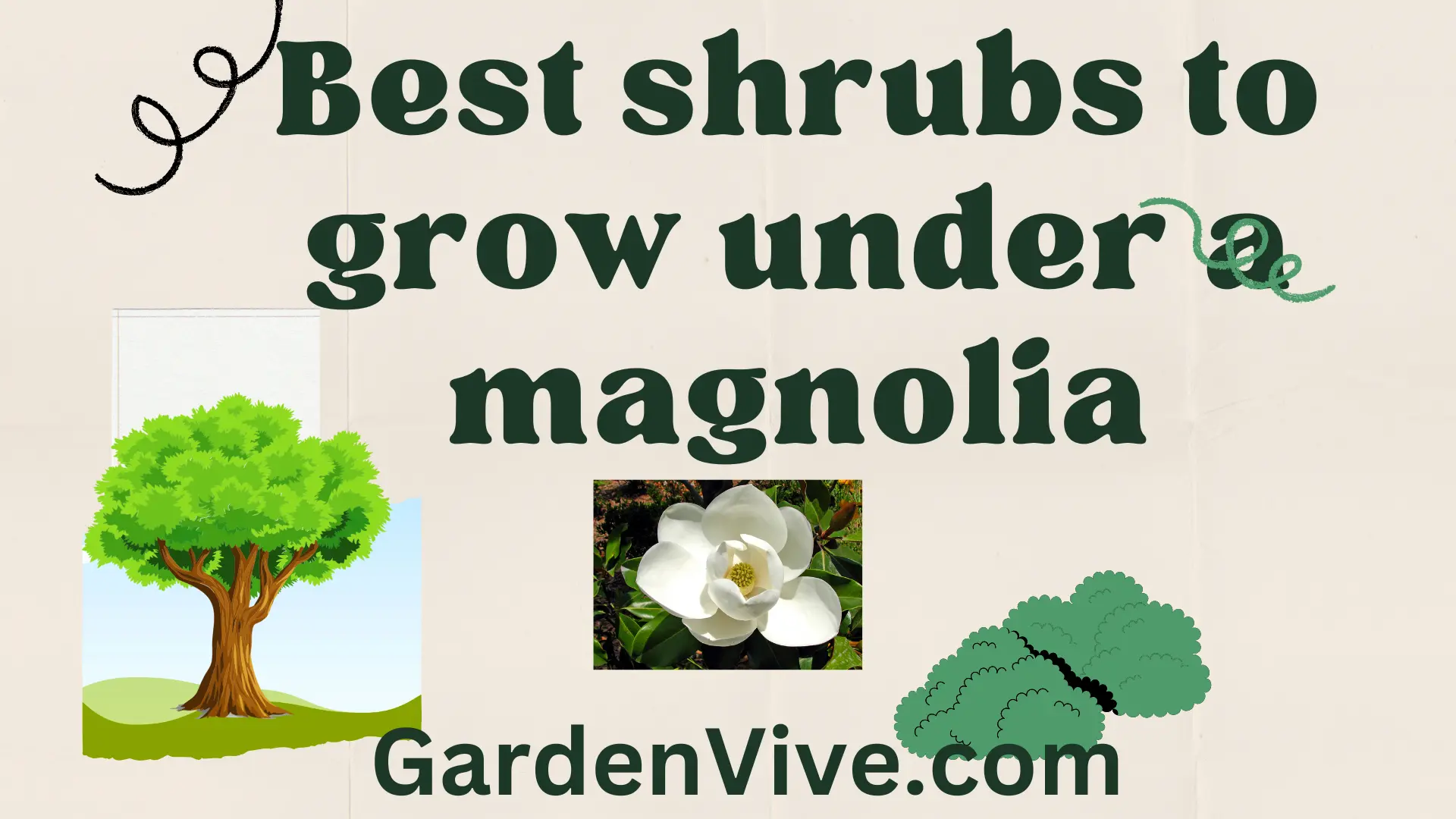 15 Flowering Shrubs to Grow Under Magnolia