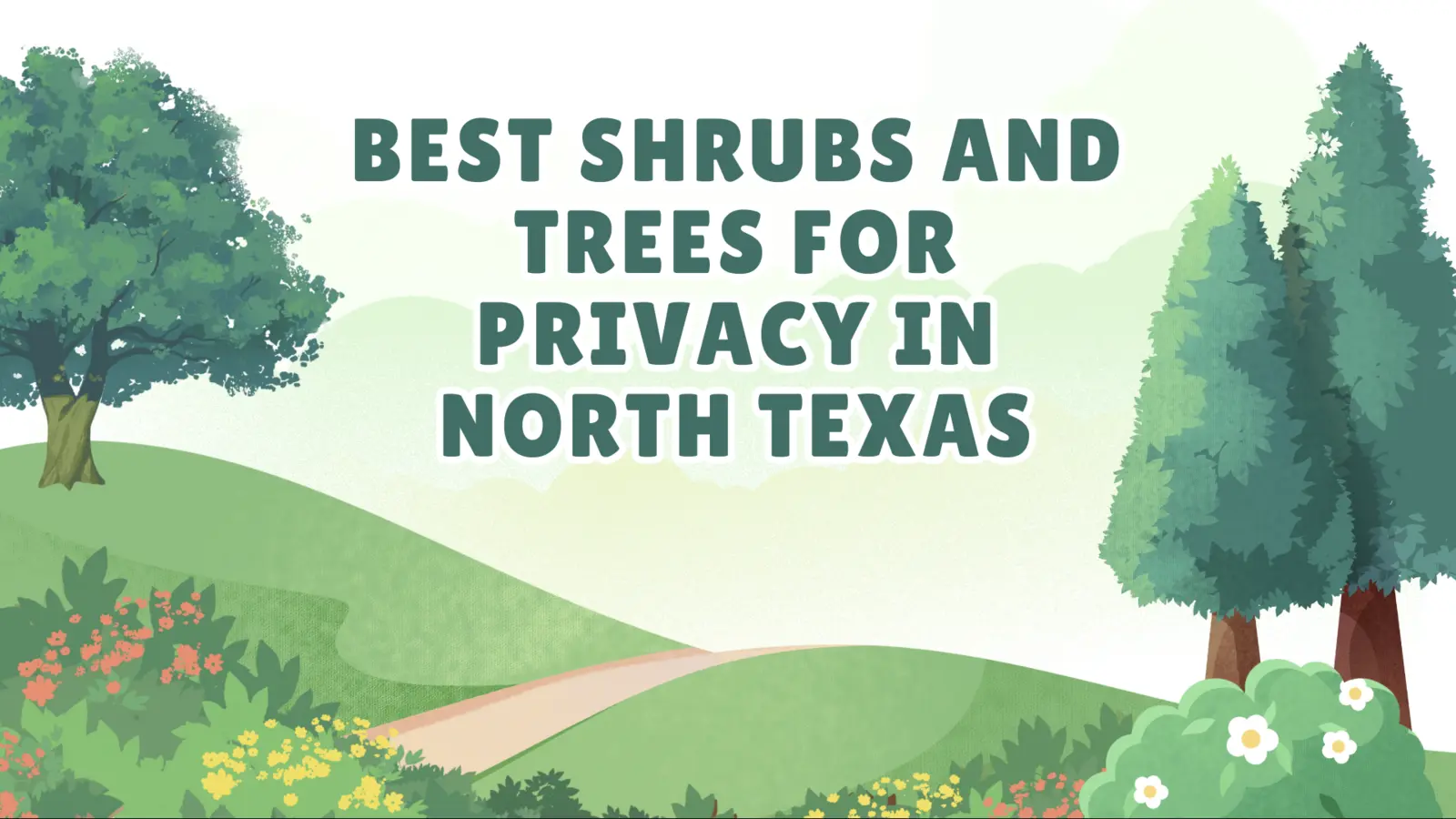 Best Plants and Trees for Privacy in North Texas