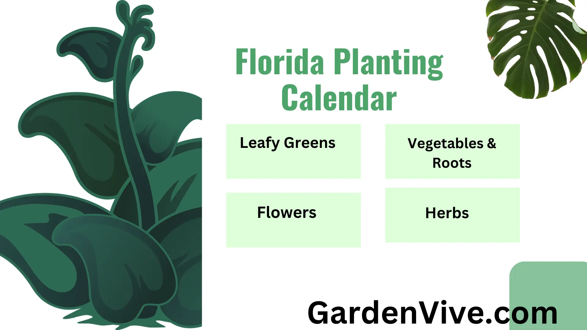 Florida Planting Calendar