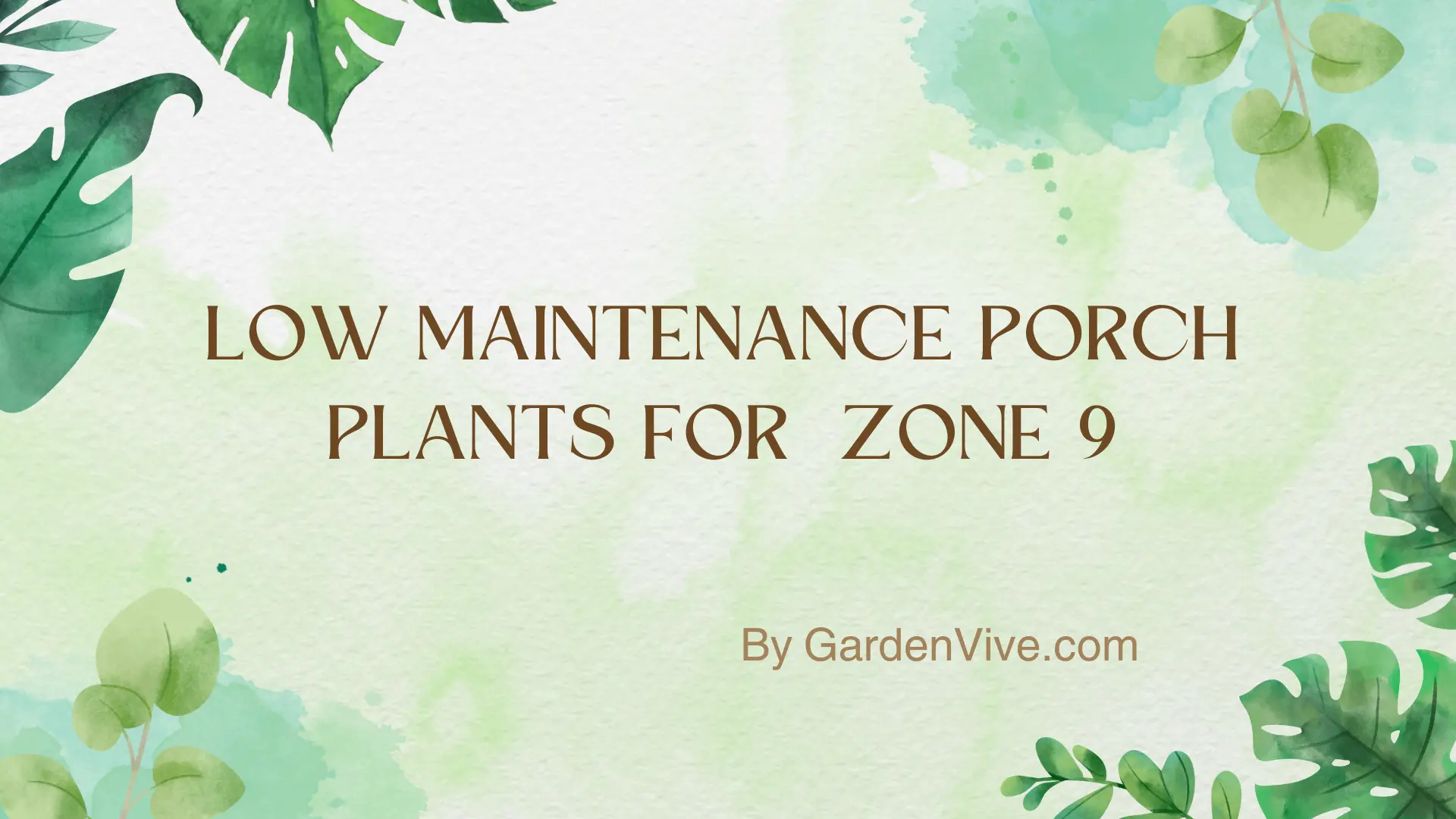 Low Maintenance Porch Plants for  Zone 9