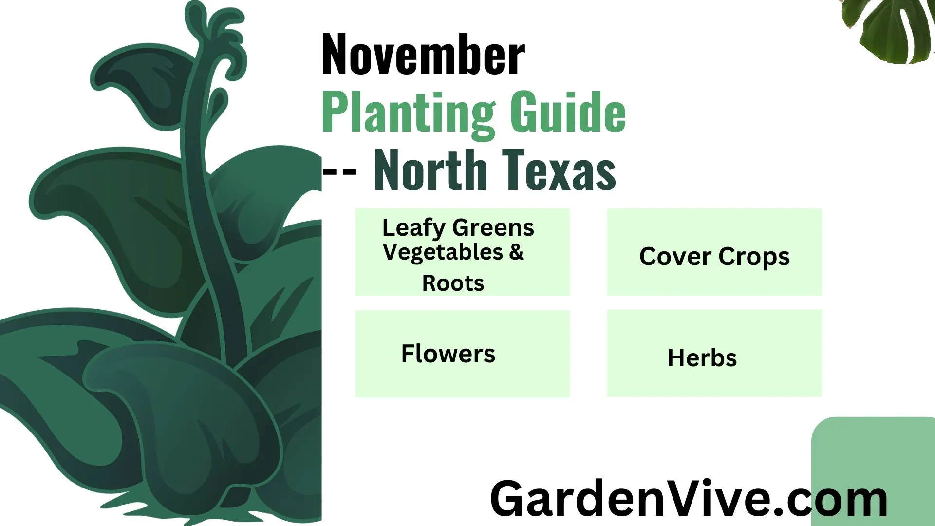 What to Plant in November in North Texas