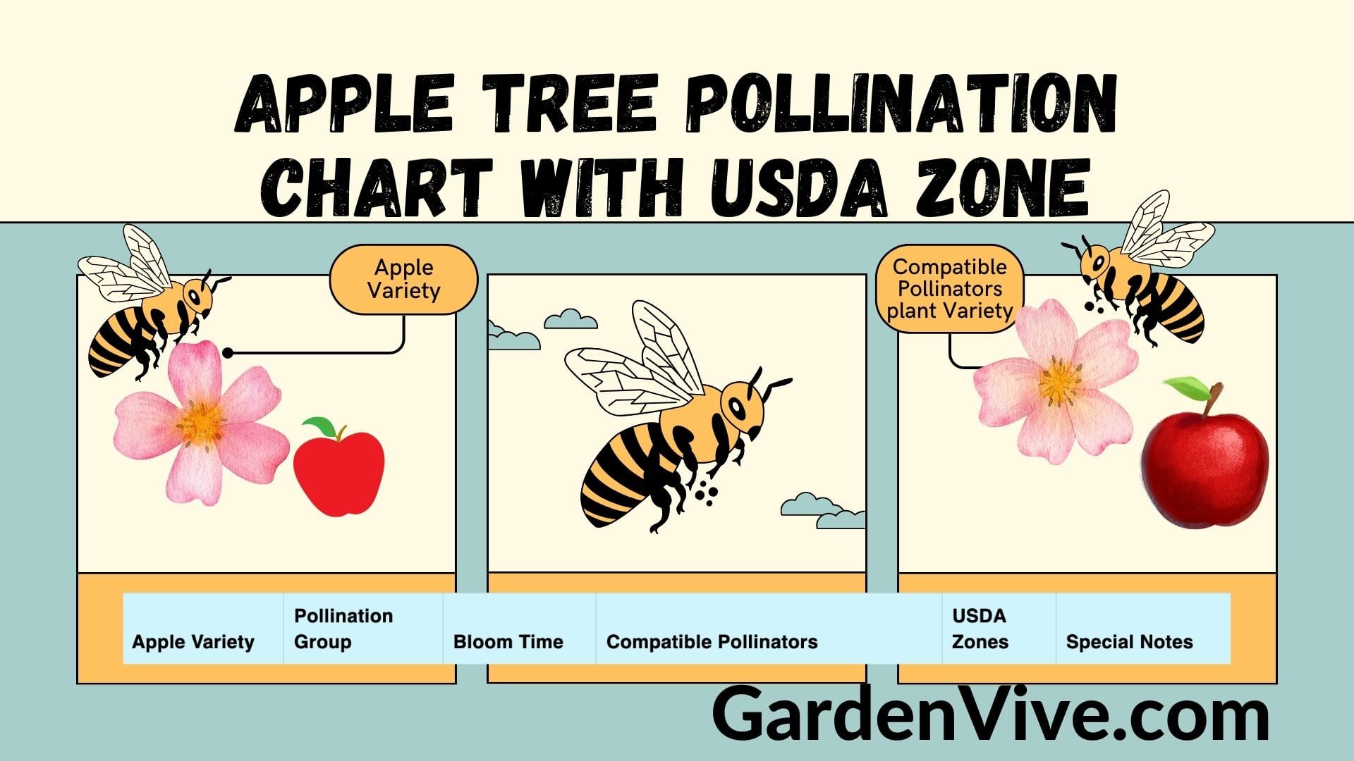 Apple Tree Pollination Chart with USDA Zone