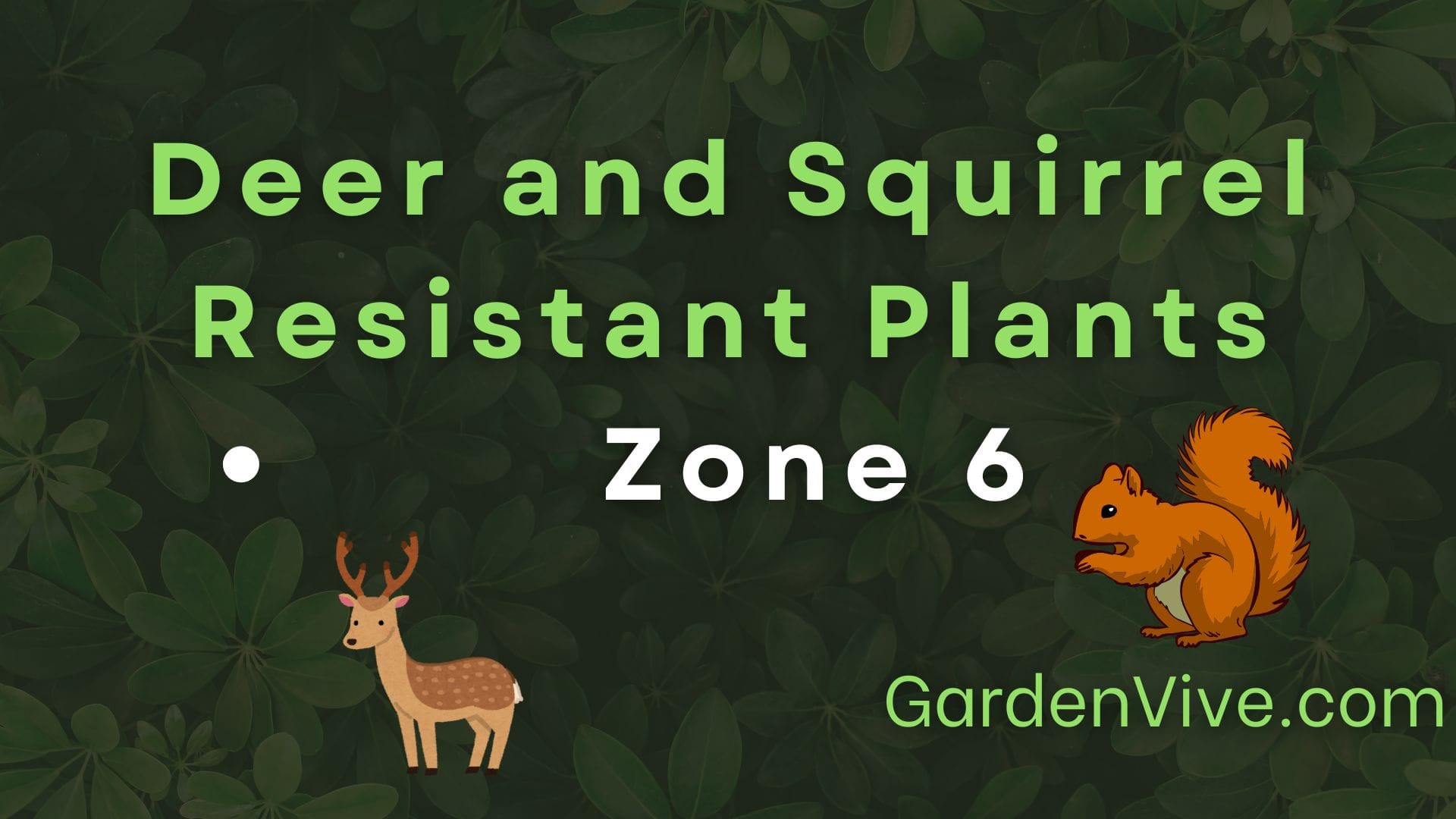 Deer and Squirrel Resistant Plants for Zone 6