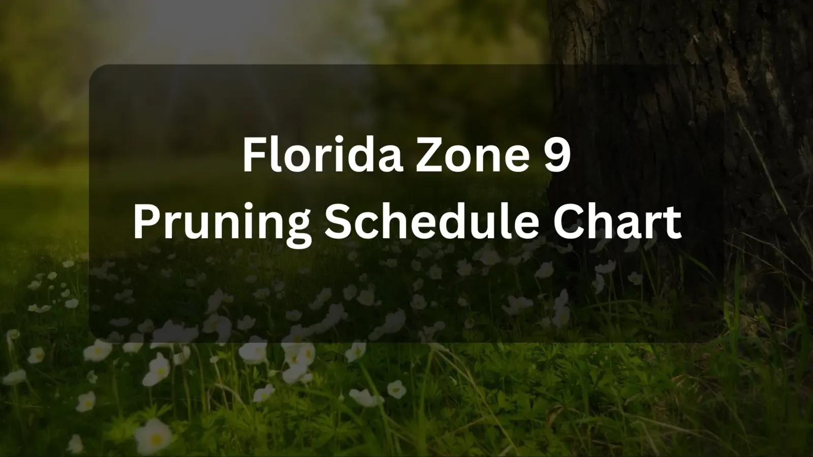 Florida Zone 9 Pruning Schedule Chart