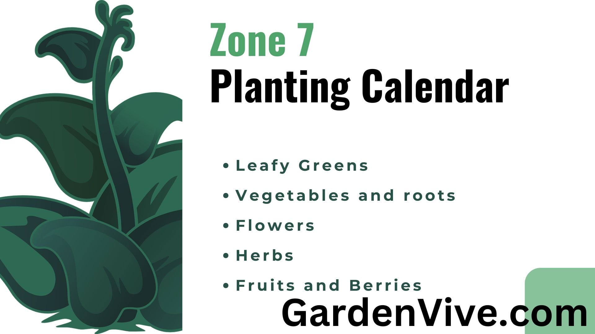 Zone 7 Planting Schedule