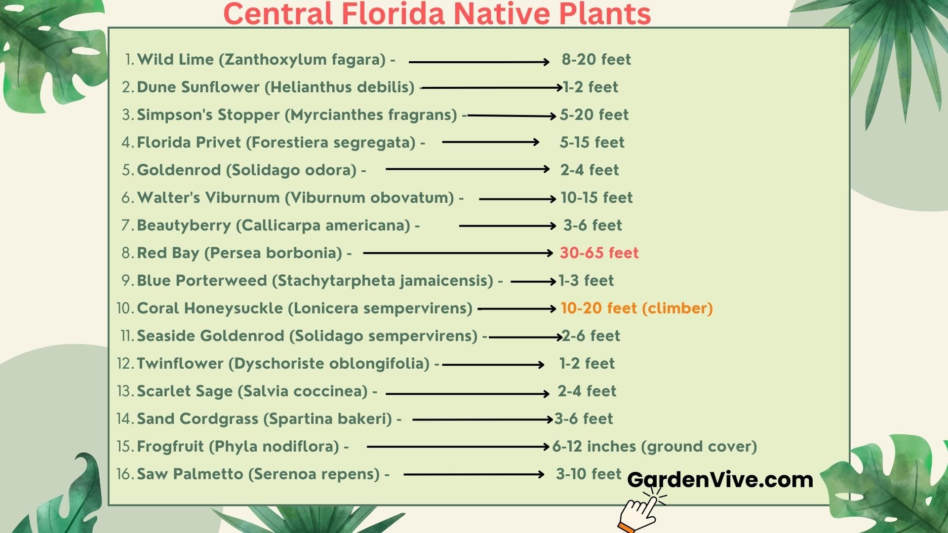 Central Florida Native Plants