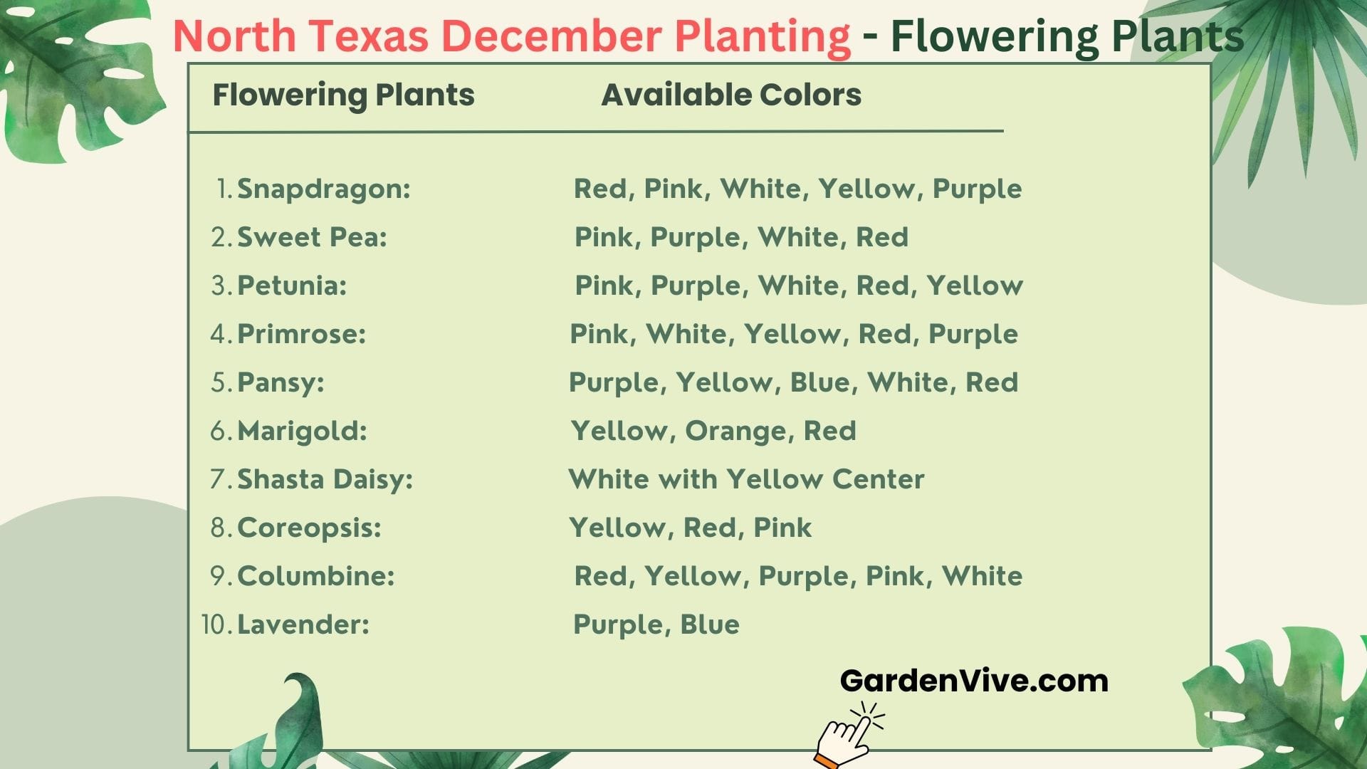 Flowering Plants to plant in December in North Texas