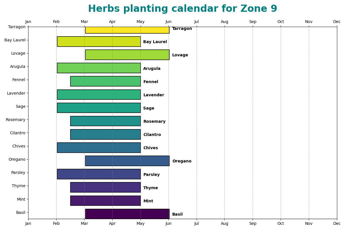 Zone 9 Herbs Planting Schedule