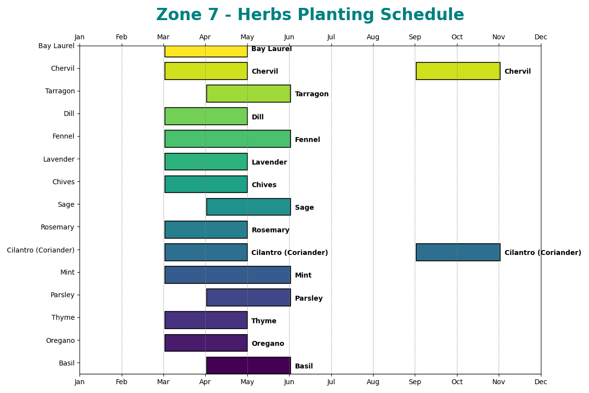 Herbs for Zone 7