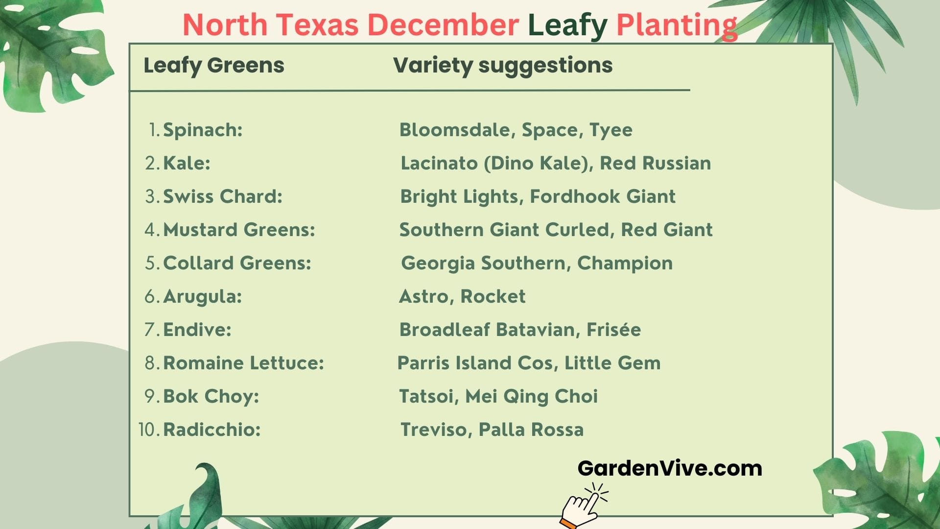 Leafy greens to plant in December in North Texas