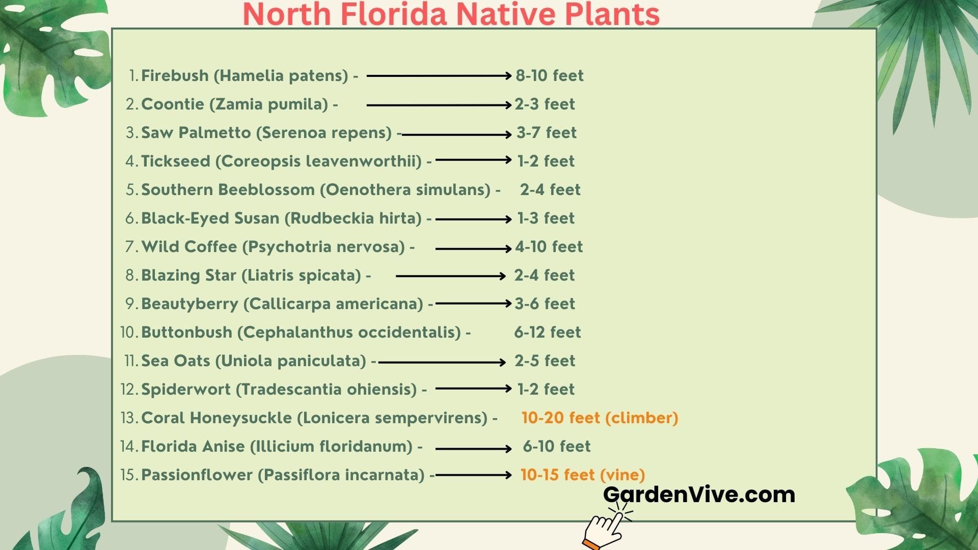 North Florida Native Plants