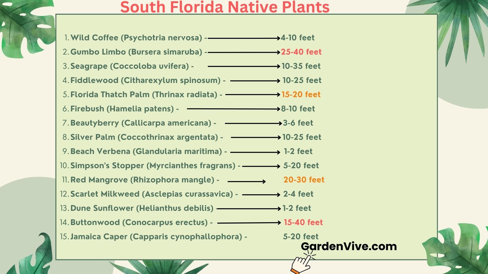 South Florida Native Plants