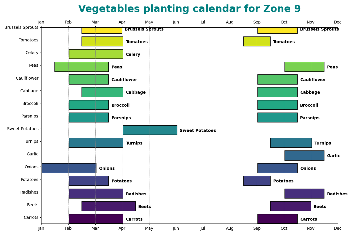 Vegetables planting calendar for Zone 9