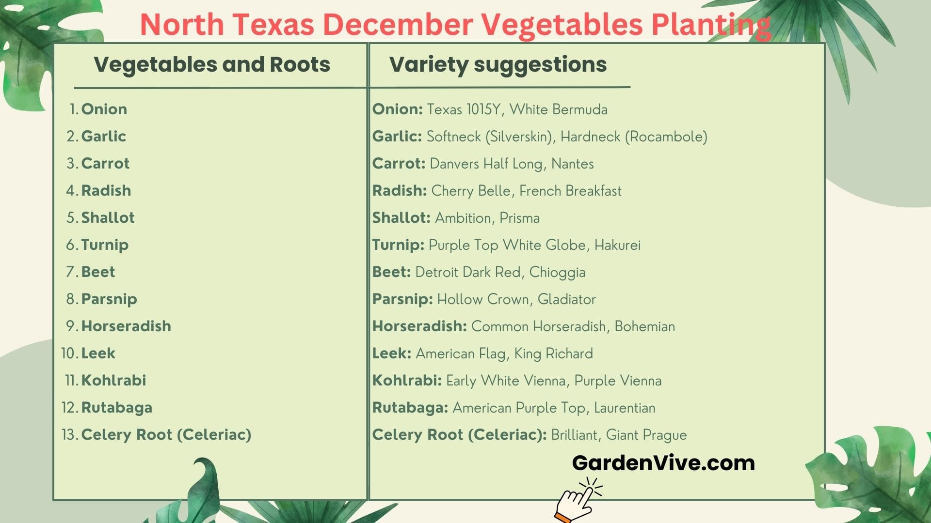 Vegetables to plant in December in North Texas