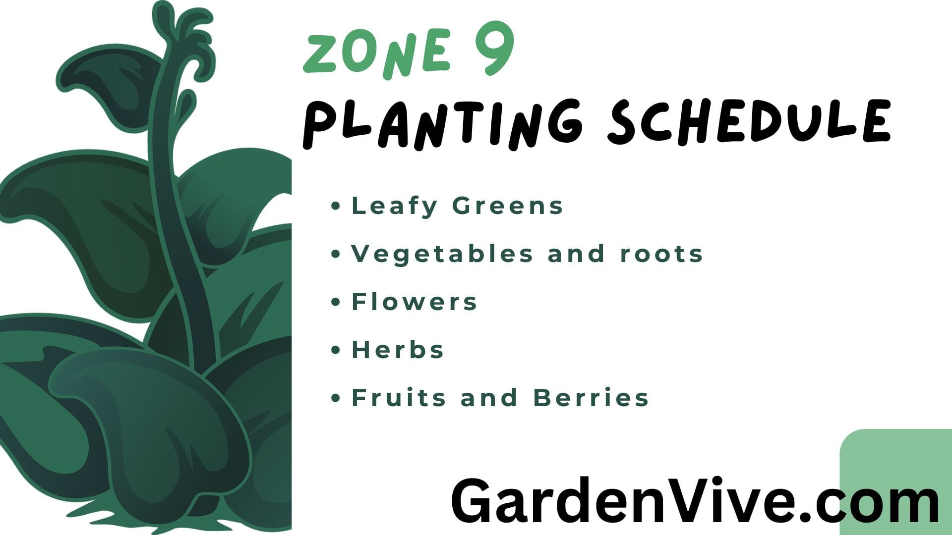 Zone 9 Planting Schedule