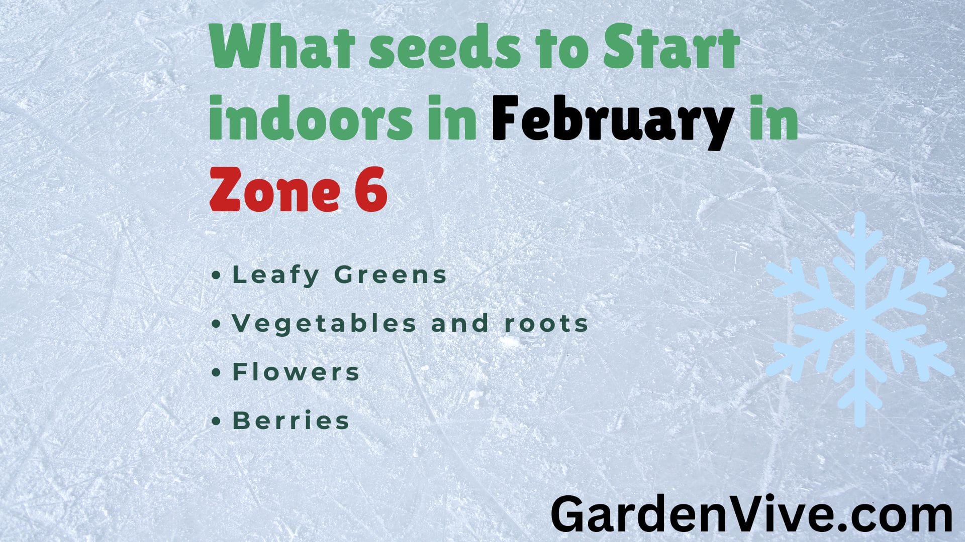 What seeds to Start indoors in February in Zone 6