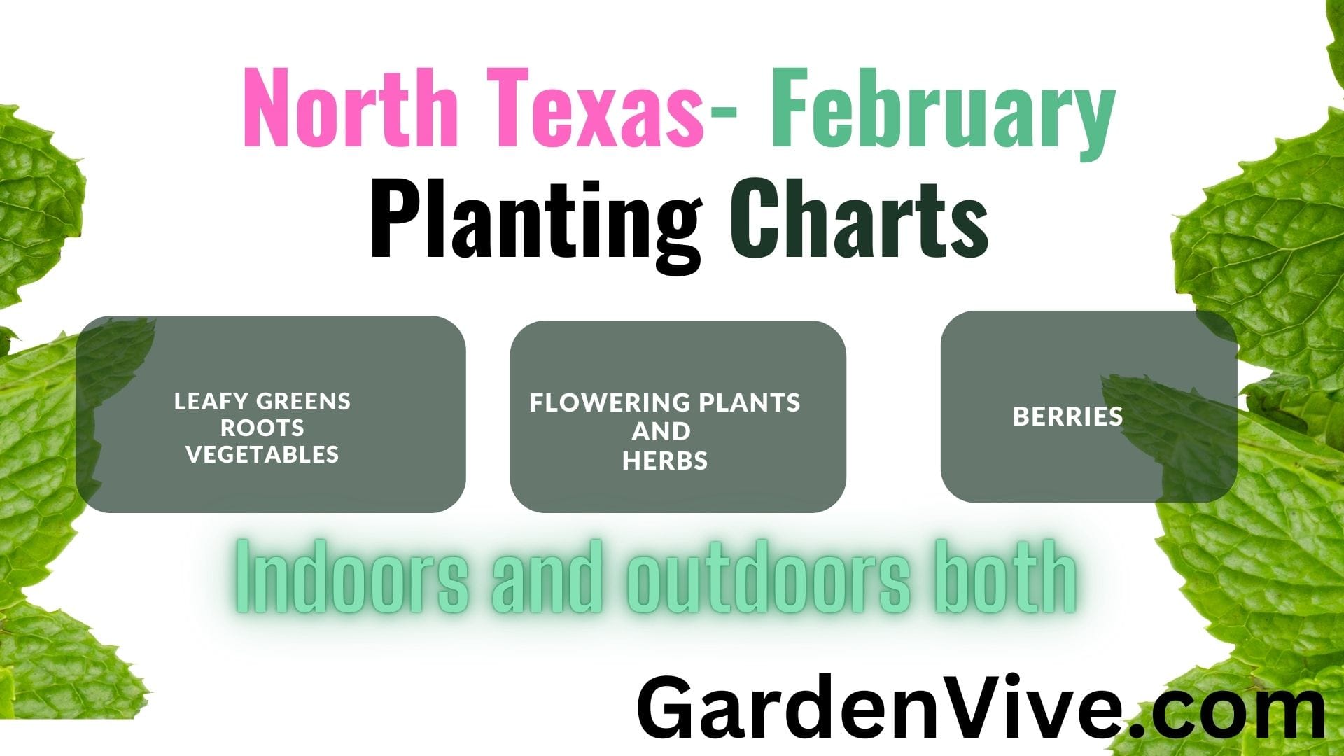 What to Plant in February in North Texas