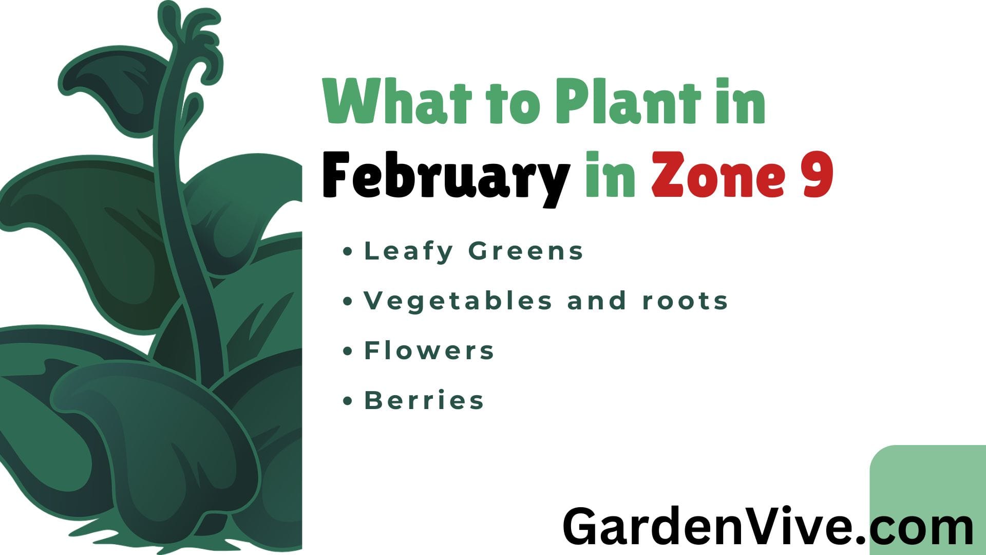 What to Plant in February in Zone 9