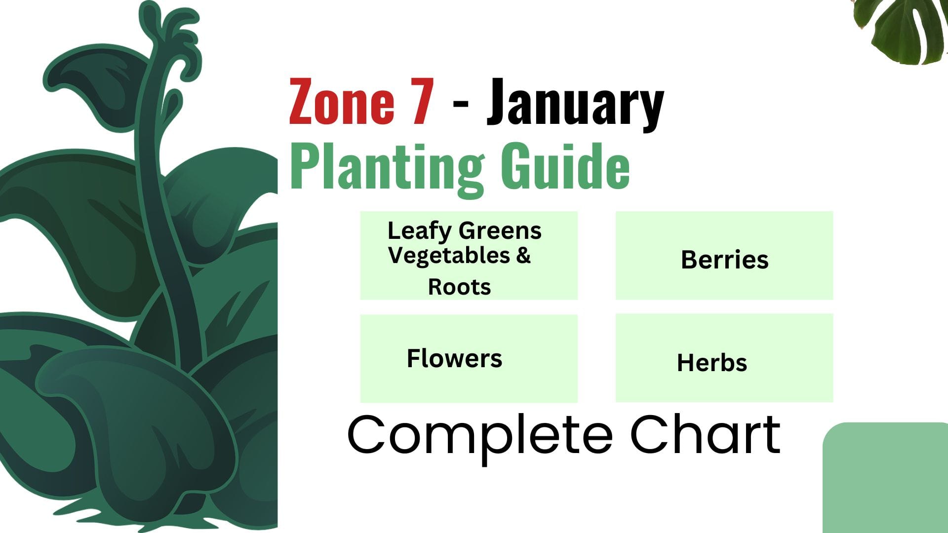 January Planting Guide for Zone 7