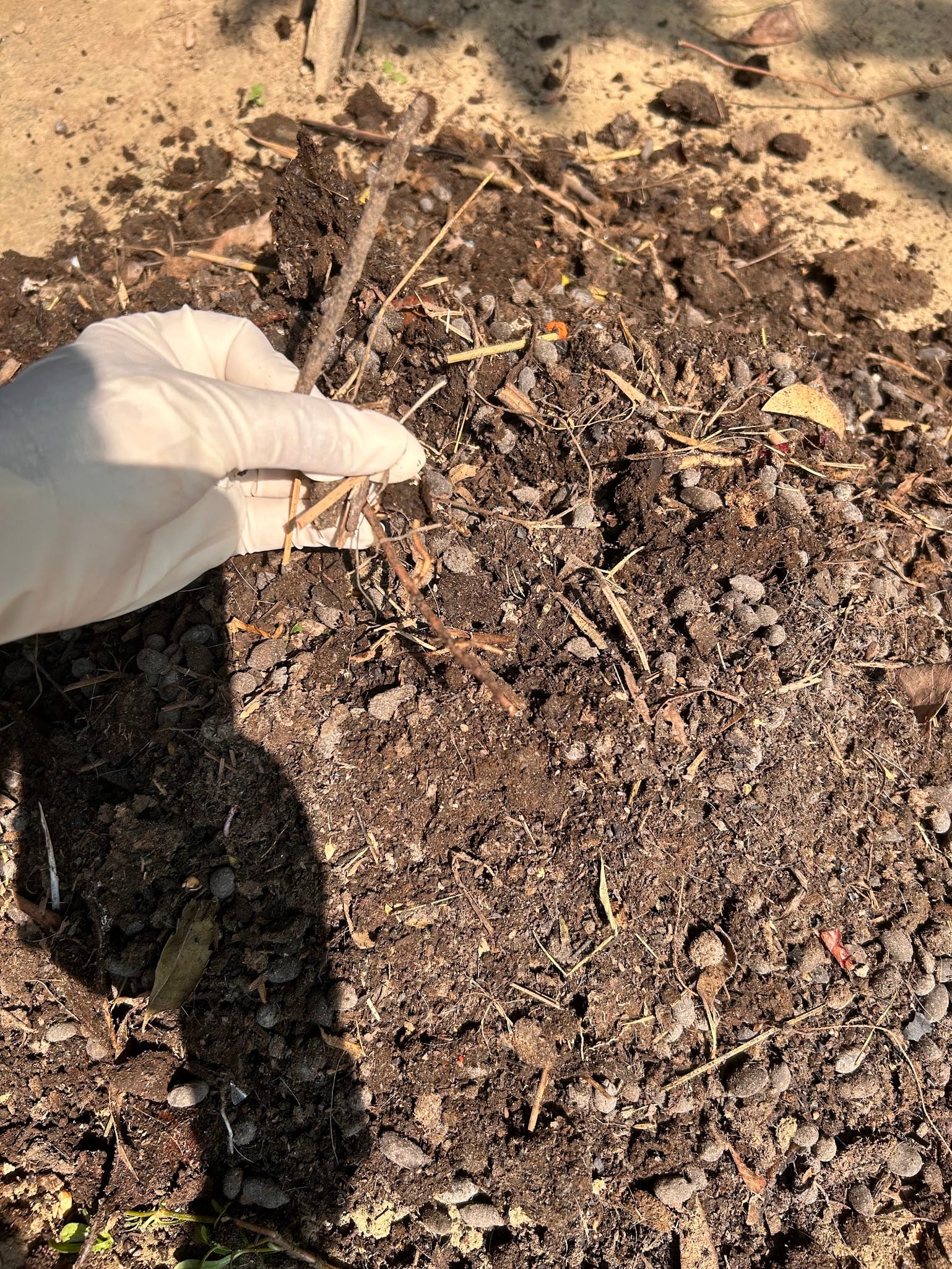 Aged manure making