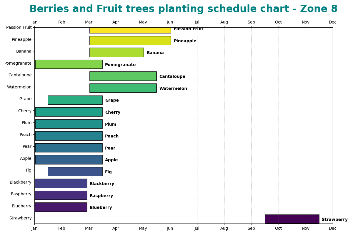 Berries and Fruit trees planting schedule chart - Zone 8