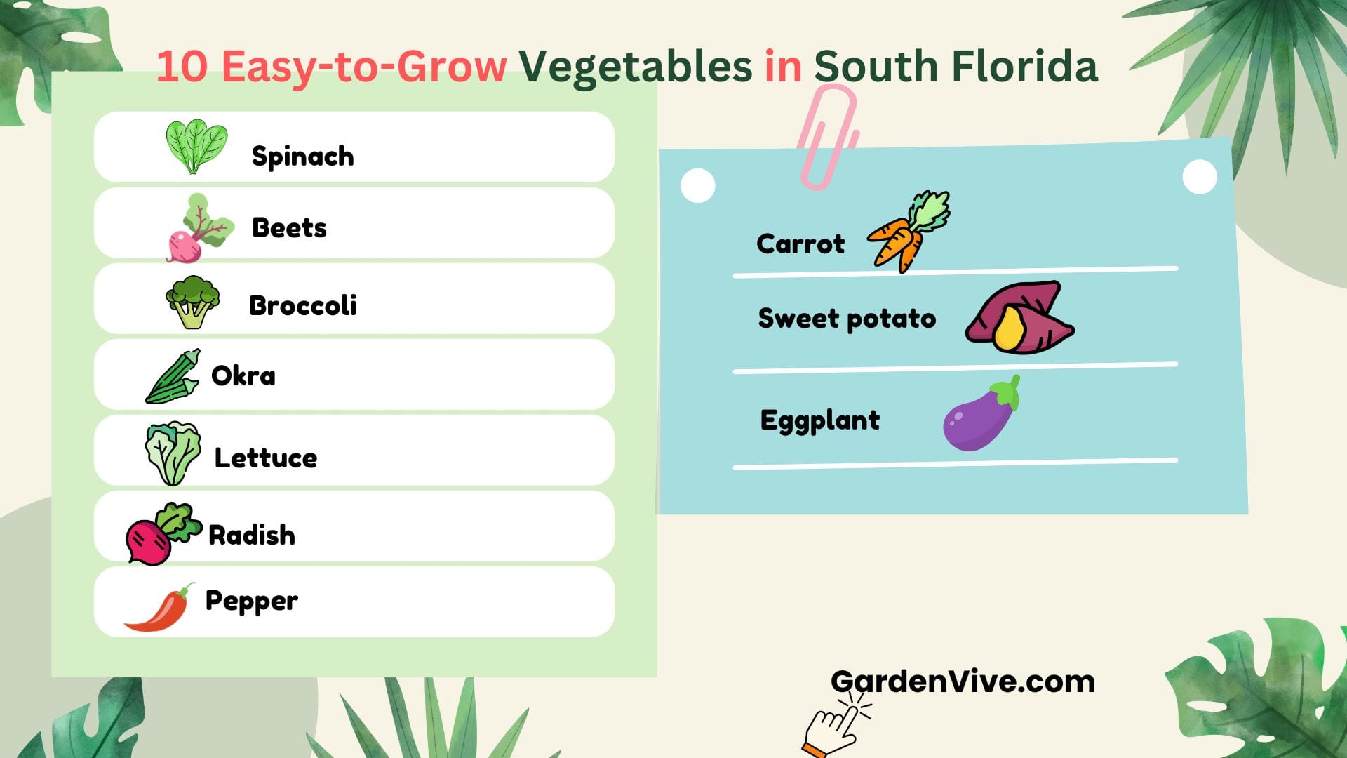 Easy-to-Grow Vegetables in South Florida