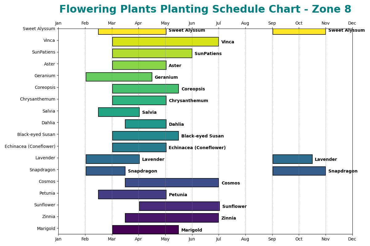 Flowering Plants Planting Schedule Chart for Zone 8