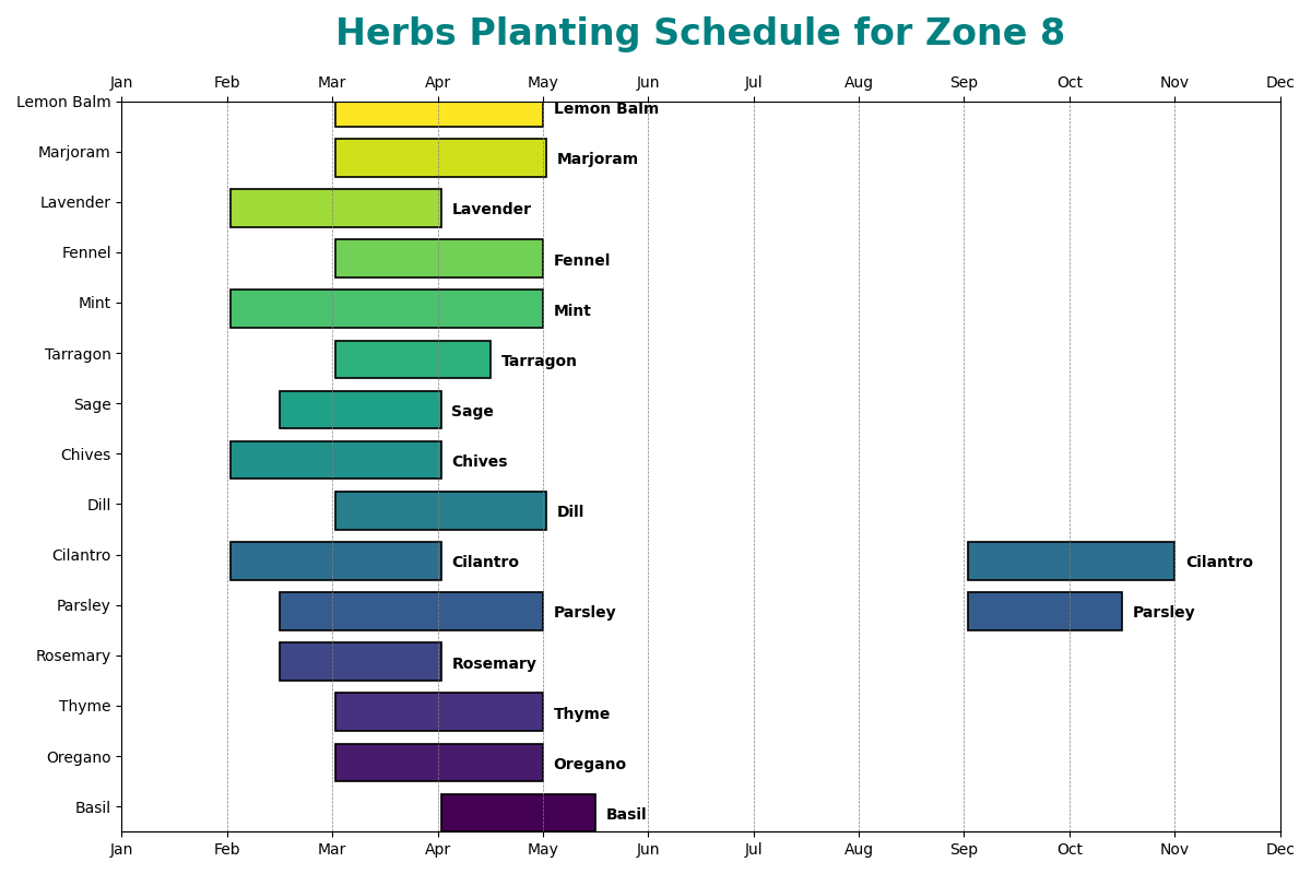 Herbs Planting Schedule visual chart for Zone 8