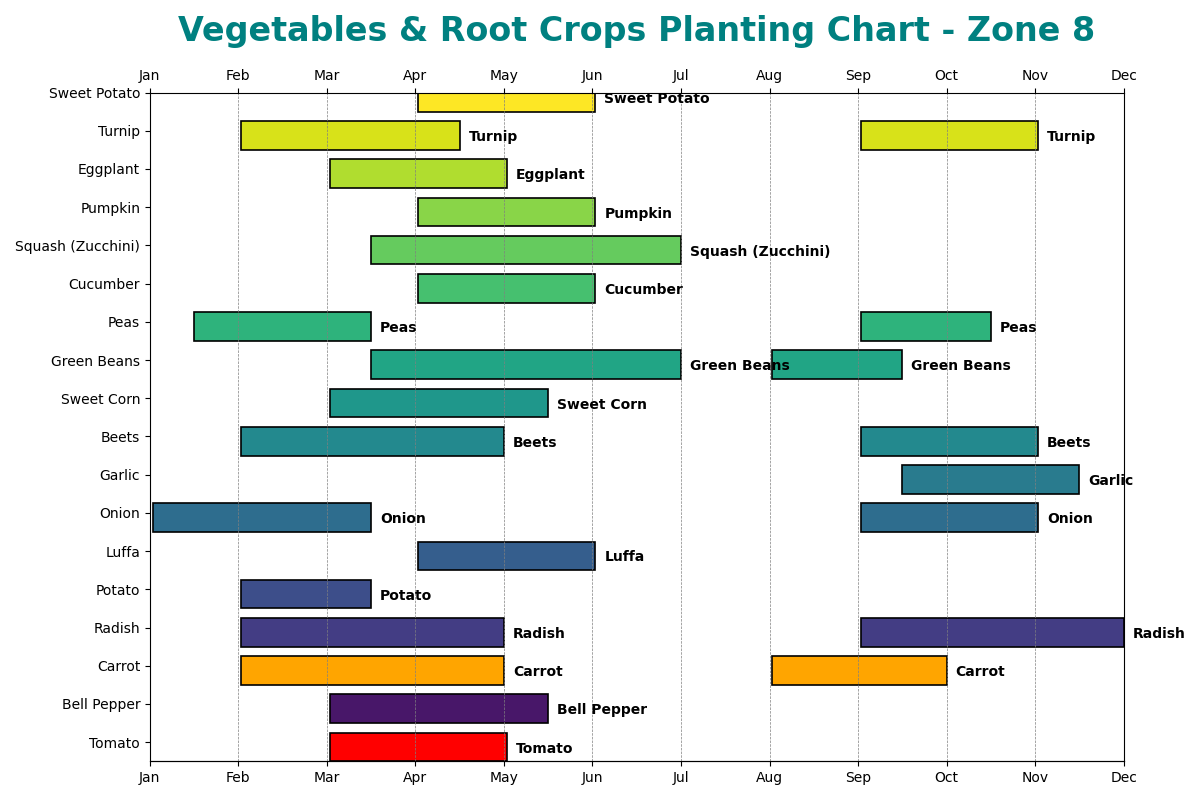 Vegetables & Root Crops Planting Chart - Zone 8