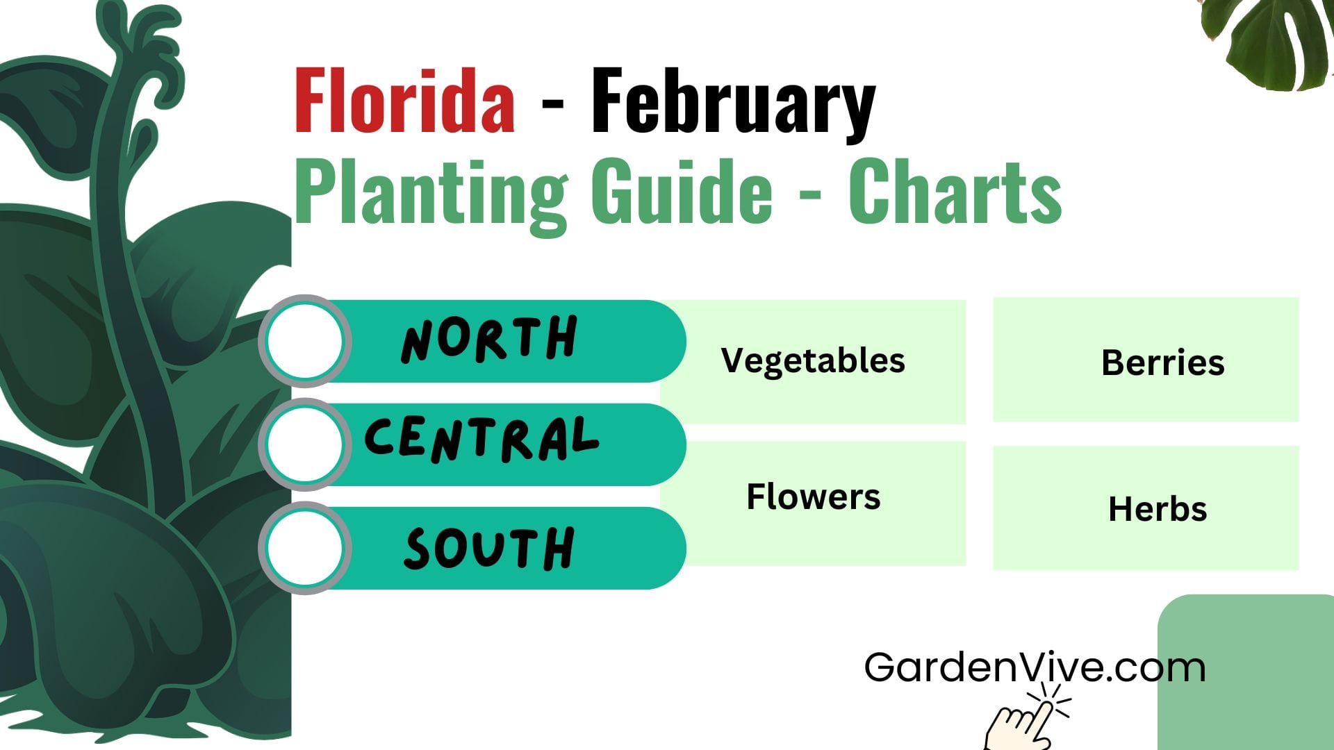 What to Plant in February in Florida