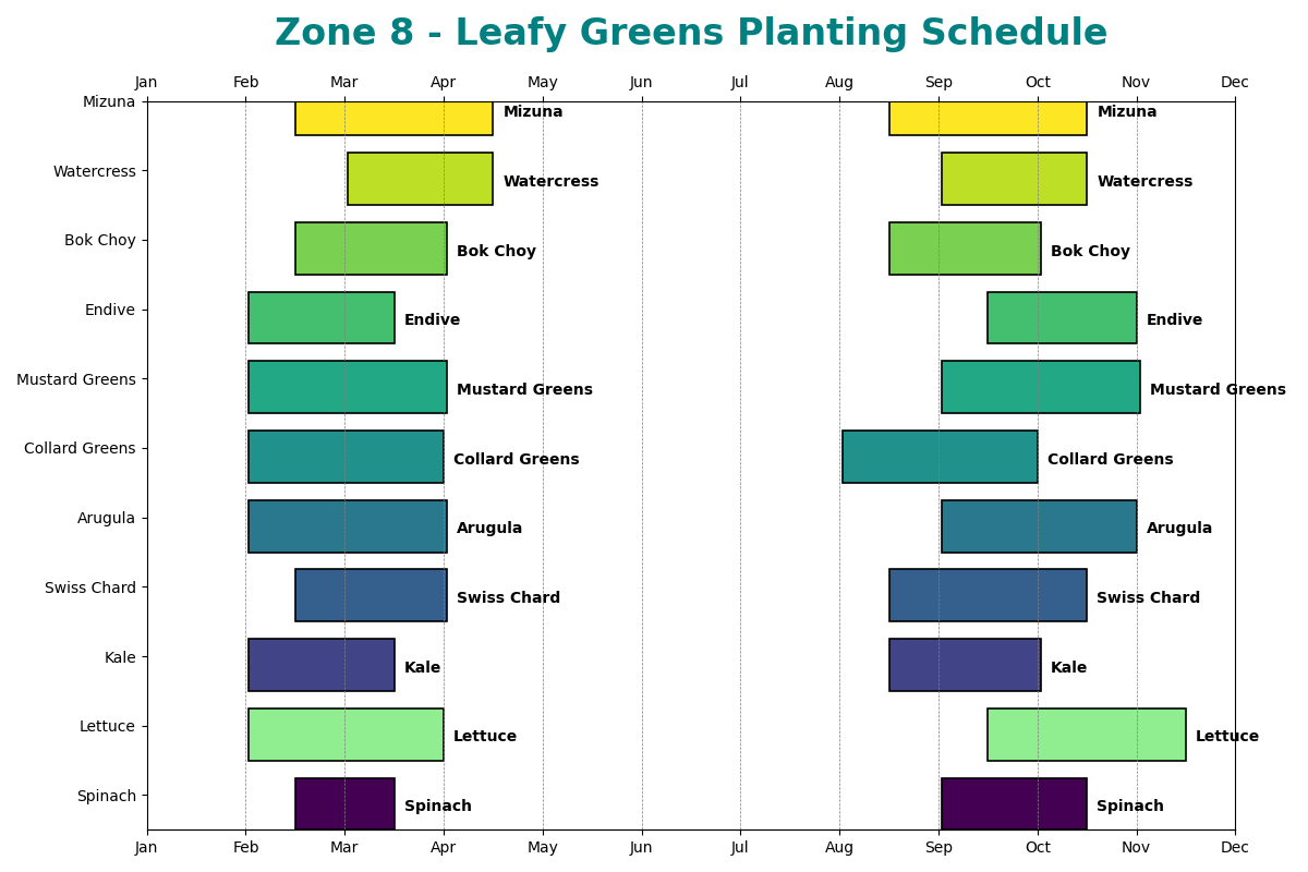 Leafy Greens Planting Schedule for Zone 8