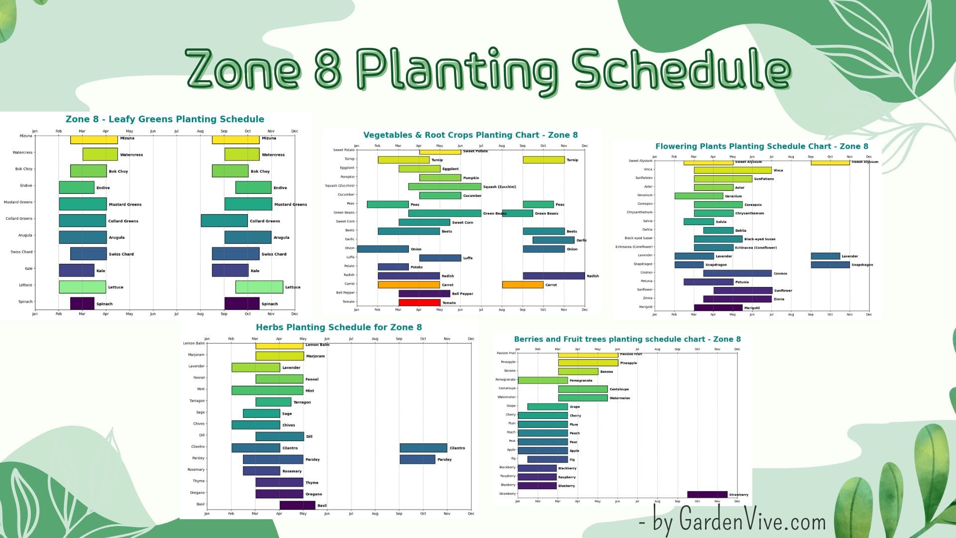 Zone 8 Planting Schedule