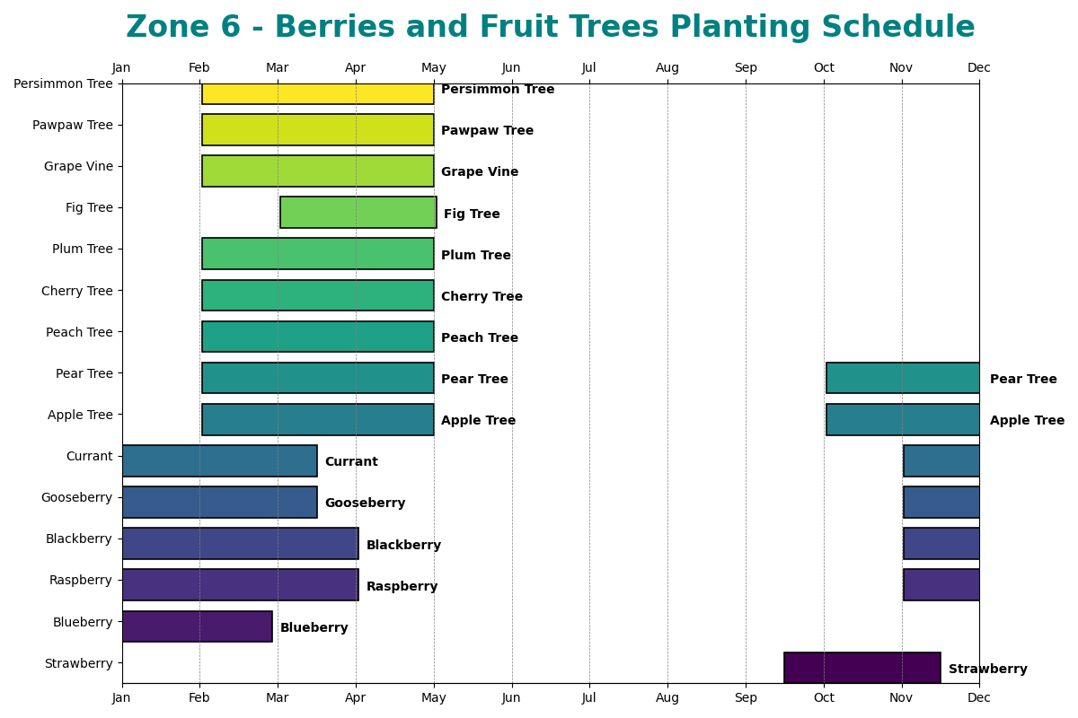 Zone 6 - Berries and Fruit Trees Planting Schedule