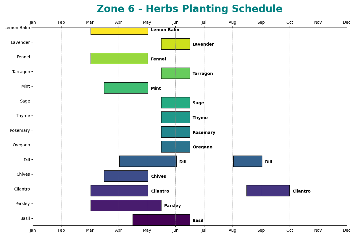 Herbs Planting Schedule for Zone 6