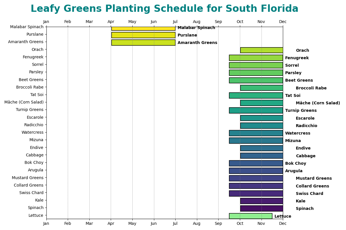 Leafy Greens Planting Schedule for South Florida