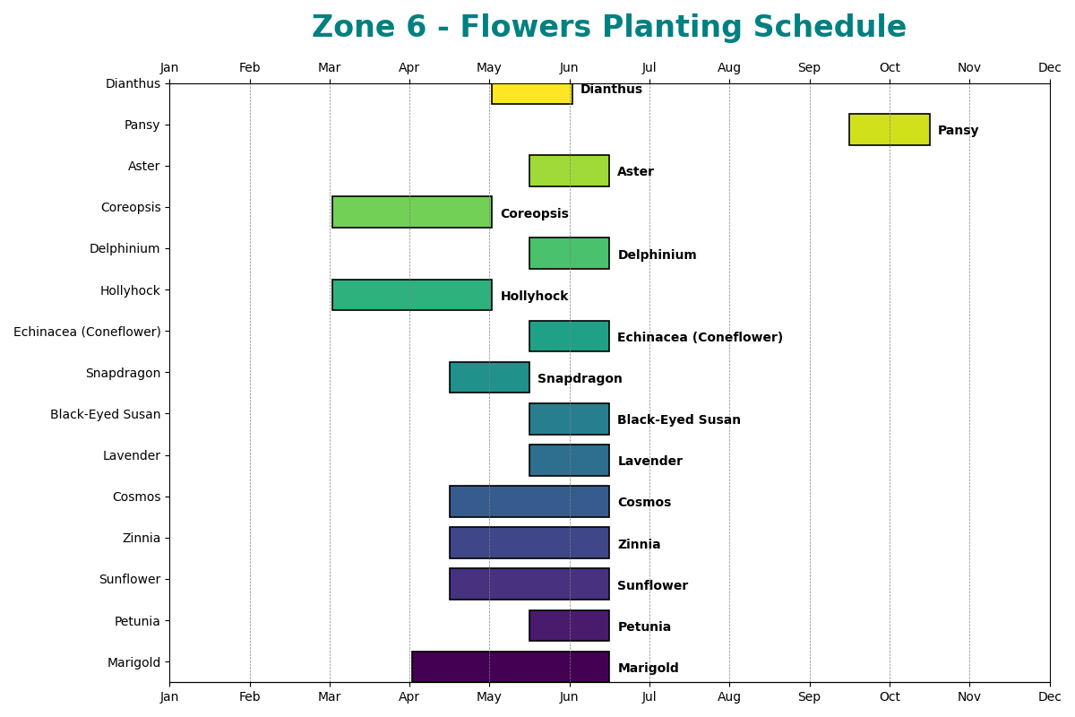 Flowers Planting Schedule for Zone 6