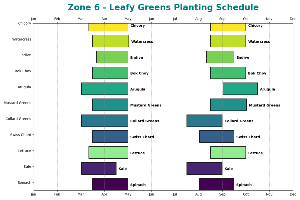 Zone 6 Leafy Greens Planting Schedule