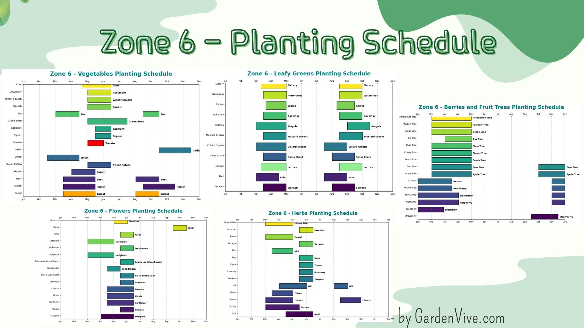 Zone 6 Planting Schedule Chart