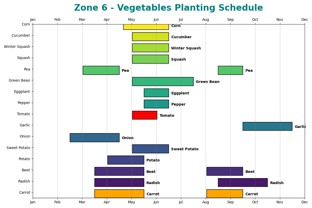 Vegetable planting schedule for Zone 6 - Visual Chart