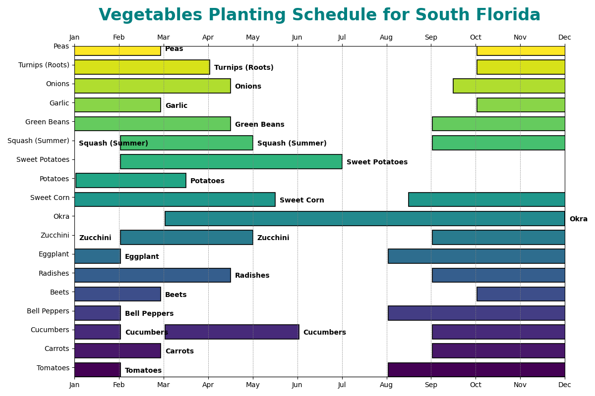 Vegetables planting schedule for South Florida