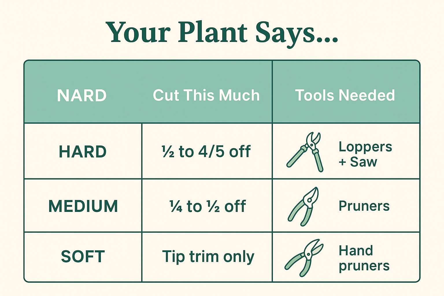 When to cut back plants - Pruning Schedule