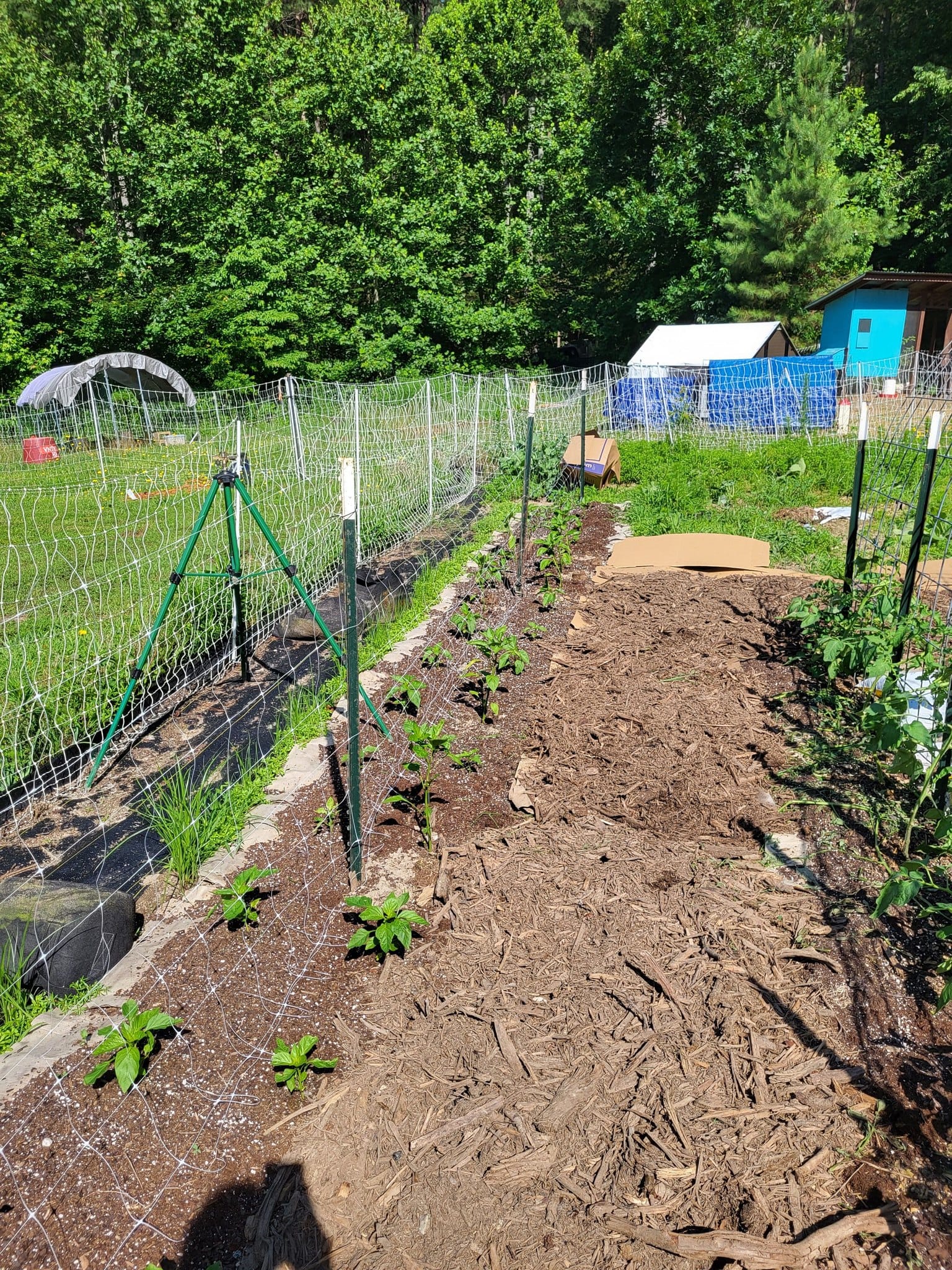 Electrical panel fencing to deter deer