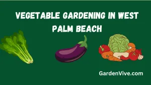 Vegetable Gardening in West Palm Beach