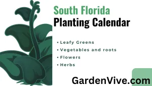 South Florida Planting Calendar